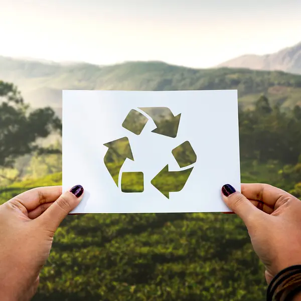 Formas de cuidar el medio ambiente