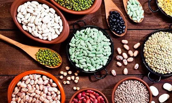 Aprende Sobre la Proteína Vegetal